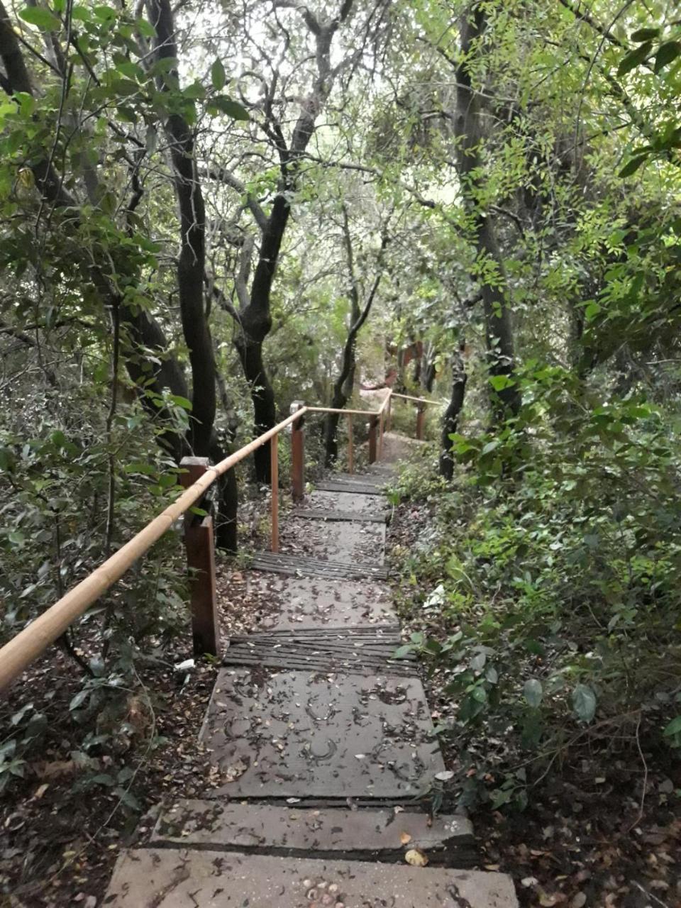 פסגת מתת Pisgat mattat Villa Exteriör bild